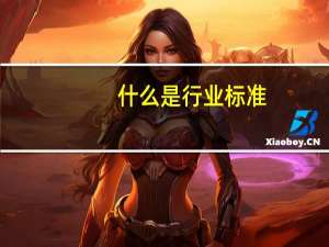 什么是行业标准