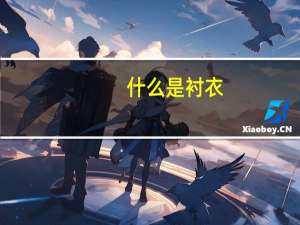 什么是衬衣
