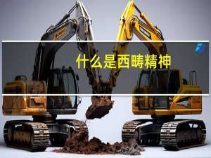 什么是西畴精神