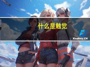 什么是触觉