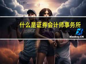 什么是证券会计师事务所