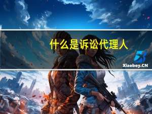 什么是诉讼代理人