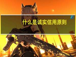 什么是诚实信用原则