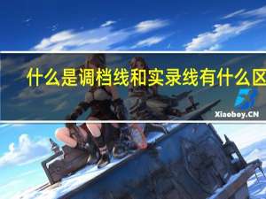 什么是调档线和实录线 有什么区别