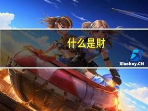 什么是財(cái)物費(fèi)用