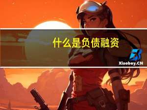 什么是负债融资