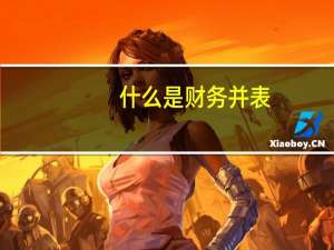什么是财务并表