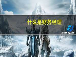 什么是财务经理