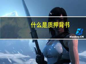 什么是质押背书