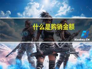 什么是购销金额