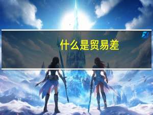 什么是贸易差