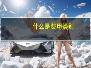 什么是费用类别
