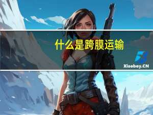 什么是跨膜运输