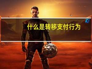 什么是转移支付行为（什么是转移支付）