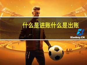 什么是进账什么是出账