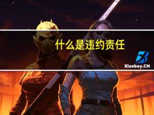 什么是违约责任
