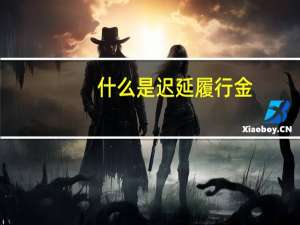什么是迟延履行金