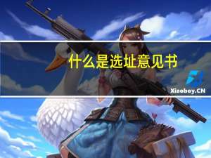 什么是选址意见书