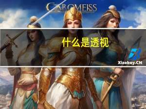 什么是透视