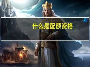 什么是配额资格