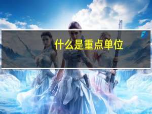 什么是重点单位