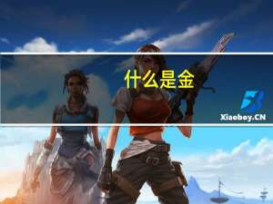 什么是金