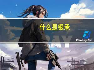 什么是银承
