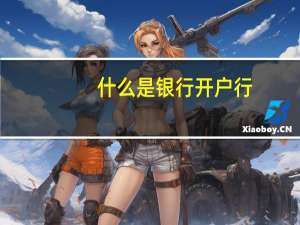 什么是银行开户行