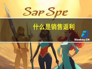 什么是销售返利