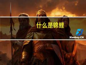 什么是锦鲤