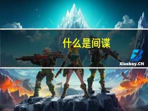 什么是间谍