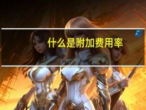 什么是附加费用率