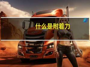 什么是附着力（附着力是什么意思）