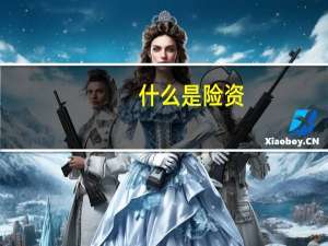 什么是险资