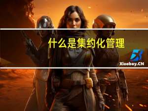 什么是集约化管理