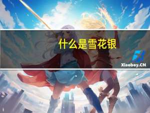 什么是雪花银