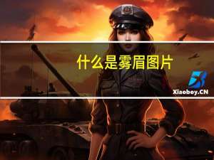 什么是雾眉图片（什么是雾眉）