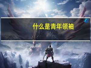 什么是青年领袖