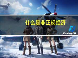 什么是非正规经济