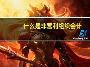 什么是非营利组织会计