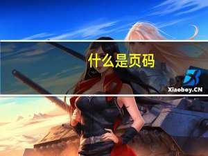 什么是页码