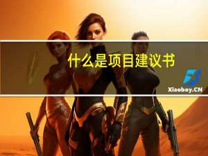 什么是项目建议书