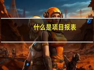 什么是项目报表