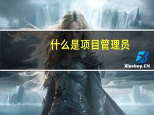 什么是项目管理员