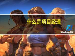 什么是项目经理