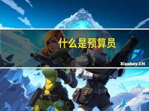 什么是预算员