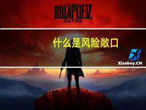 什么是风险敞口
