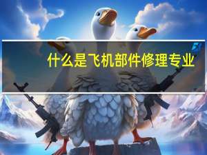什么是飞机部件修理专业