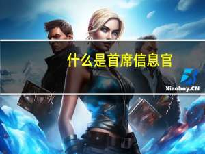 什么是首席信息官