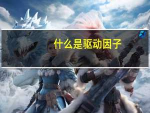 什么是驱动因子